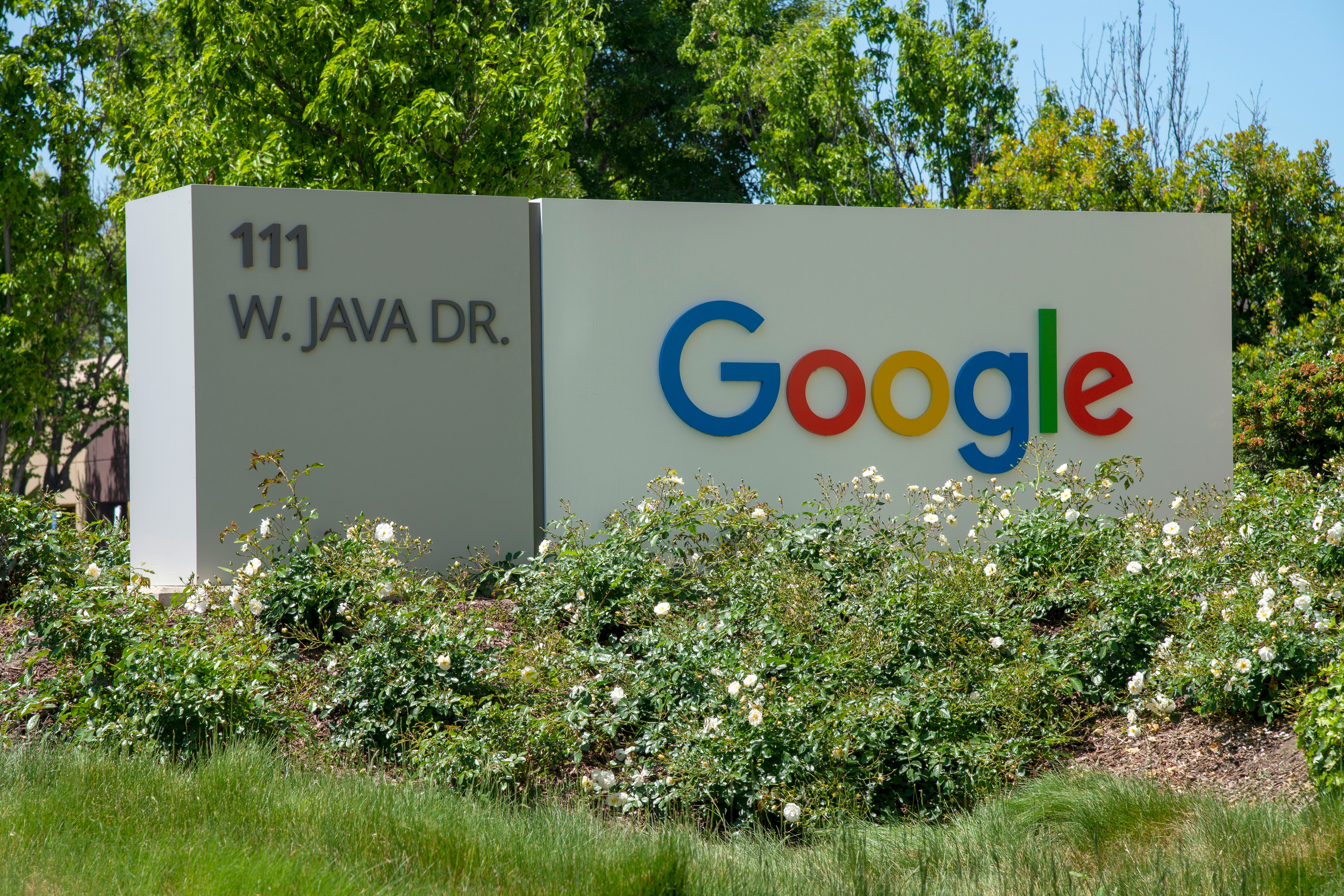 Google hat einen Vertrag mit einem Auftragnehmer gekündigt, der bei der Ausbildung des Chatbots Bard Google hat einen Vertrag mit einem Auftragnehmer gekündigt, der bei der Ausbildung des Chatbots Bard