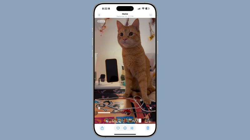 Verbesserungen am Video-Player in iOS 18.2 Verbesserungen am Video-Player in iOS 18.2