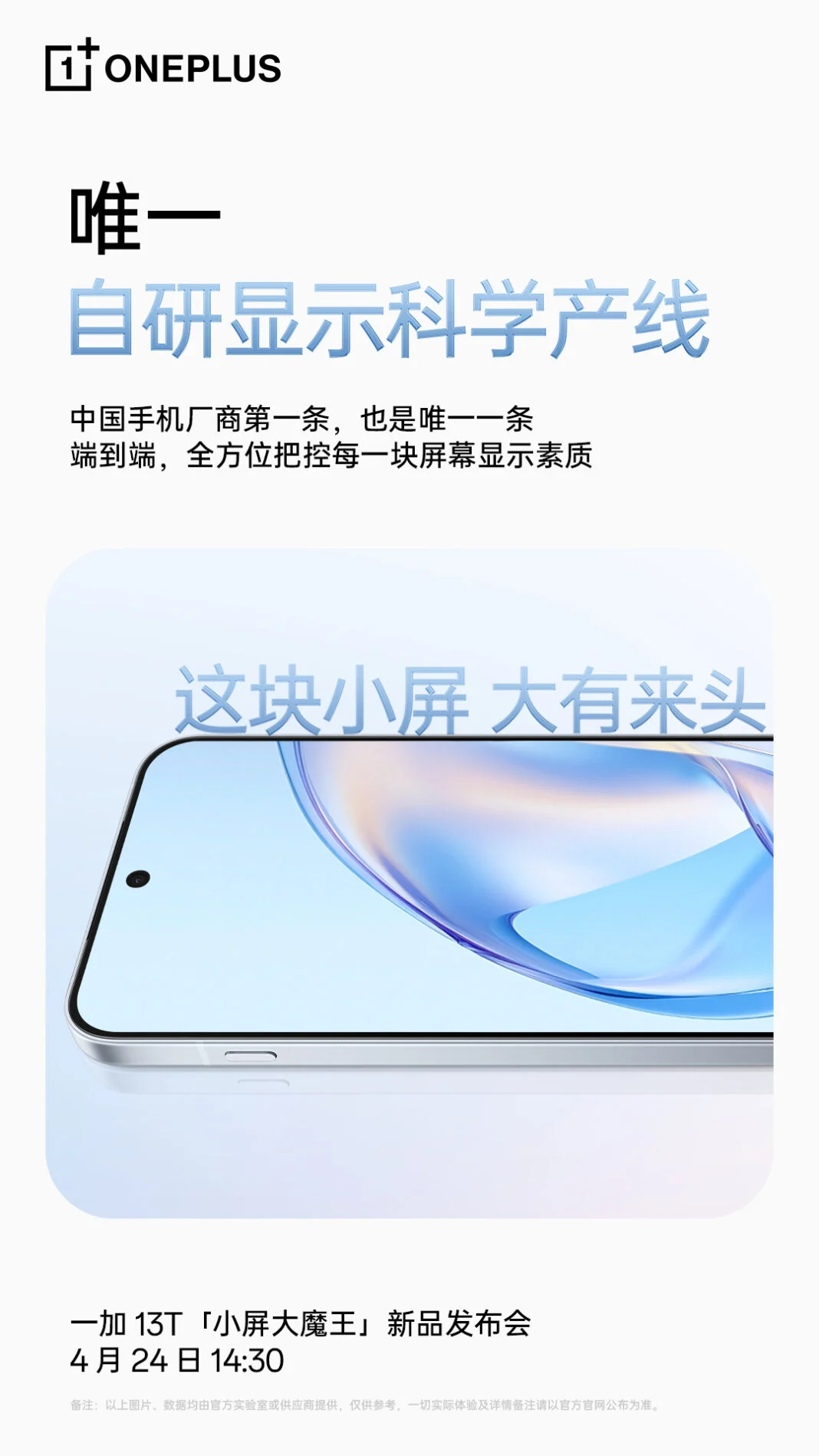 OnePlus 13T Display Informationen OnePlus 13T Display Informationen