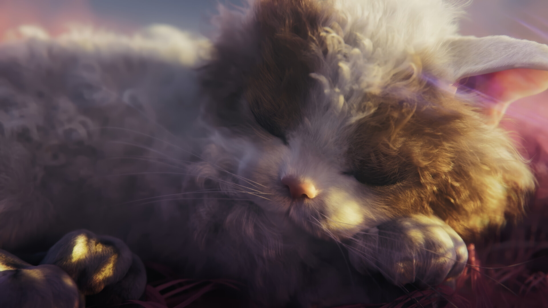 Katzen in der psychedelischen Welt Katzen in der psychedelischen Welt