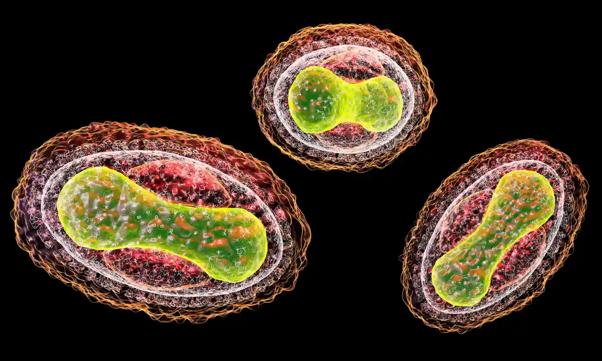 KI-basierte Chatbots könnten bei der Planung eines biologischen Angriffs helfen - Studie KI-basierte Chatbots könnten bei der Planung eines biologischen Angriffs helfen - Studie