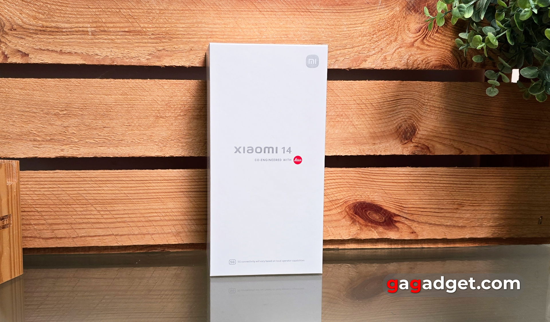 Xiaomi 14 Testbericht Xiaomi 14 Testbericht