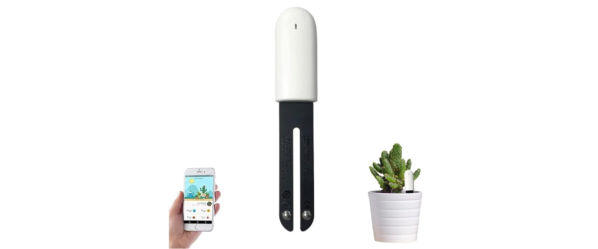 Xiaomi Mi Pflanzensensor Xiaomi Mi Pflanzensensor